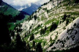 Das Prospektionsgebiet (Sektor Y) Walop im Simmental