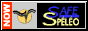 safenow-logo